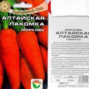 Sweet, delicate carrot variety Altai Gourmand