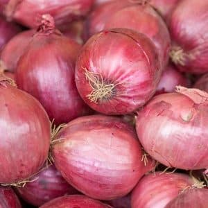 The most delicious Rossana onion variety: description and growing tips