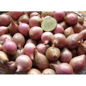 The most delicious Rossana onion variety: description and growing tips