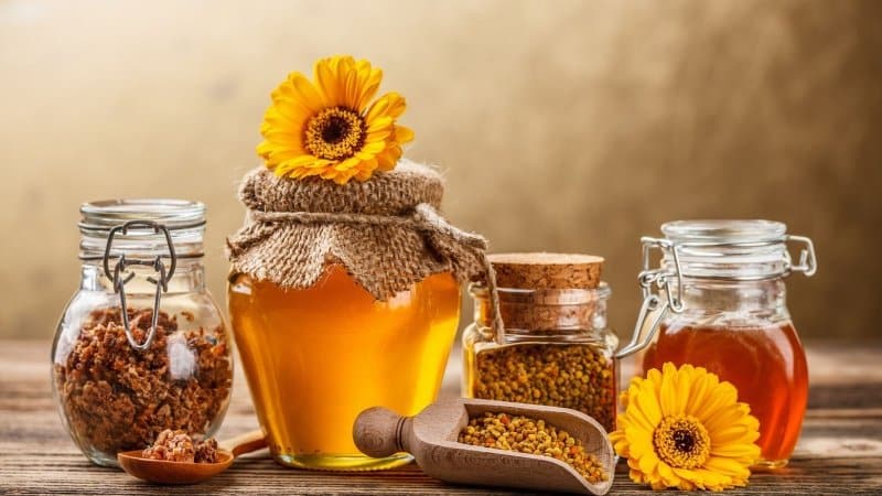 The healing properties of onions with honey: the best recipes for children's cough