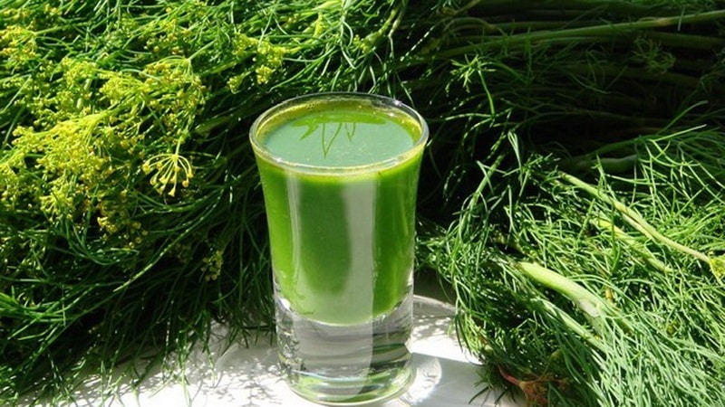 Dill for cleansing the brain: how to take it and contraindications