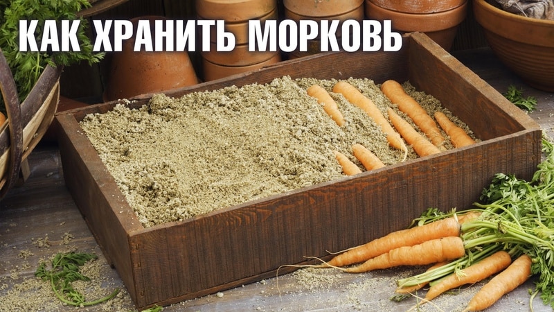 What and how to store carrots in the cellar in winter: a selection of the best ways