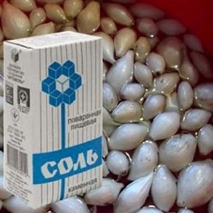 What to soak onions in before planting before winter, and is it necessary to do it?