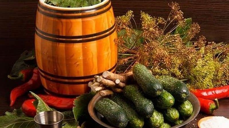 Step-by-step instructions for pickling cucumbers in a barrel with your own hands