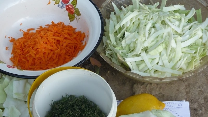 How to properly cook sauerkraut without salt