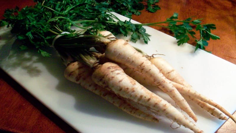 Review of the best varieties of parsley and their varieties