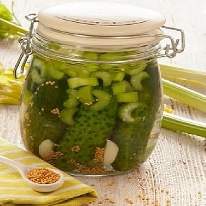 The best recipes for stalked celery preparations for the winter
