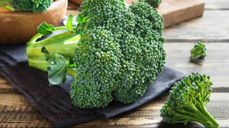 Simple and tasty DIY broccoli preparations for the winter
