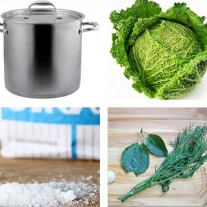 DIY preparations: is it possible to pickle Savoy cabbage for the winter and how to do it correctly