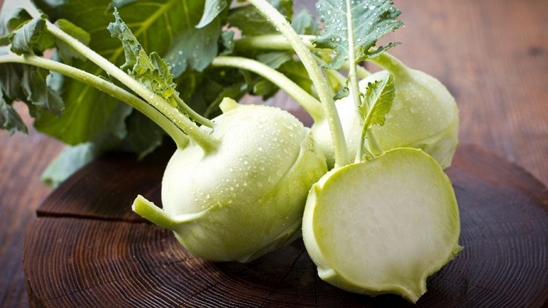 Useful properties and contraindications of kohlrabi cabbage