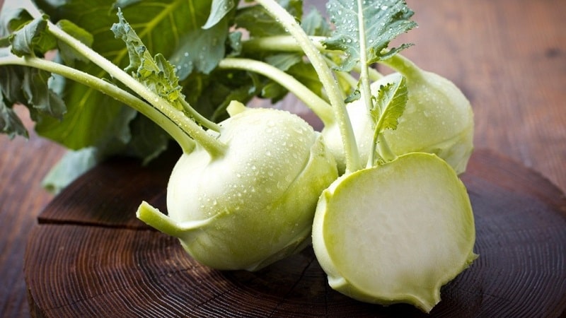 Delicious DIY preparations: recipes for preparing kohlrabi cabbage for the winter