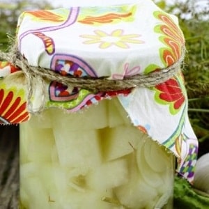 Delicious DIY preparations: recipes for preparing kohlrabi cabbage for the winter
