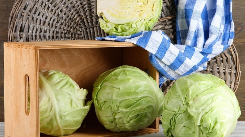 Where and how to store fresh cabbage at home in an apartment
