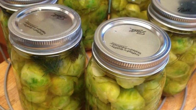 Proven ways to store Brussels sprouts for the winter in fresh, frozen and canned form