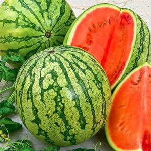 What is good about Astrakhan watermelon and why farmers love it so much