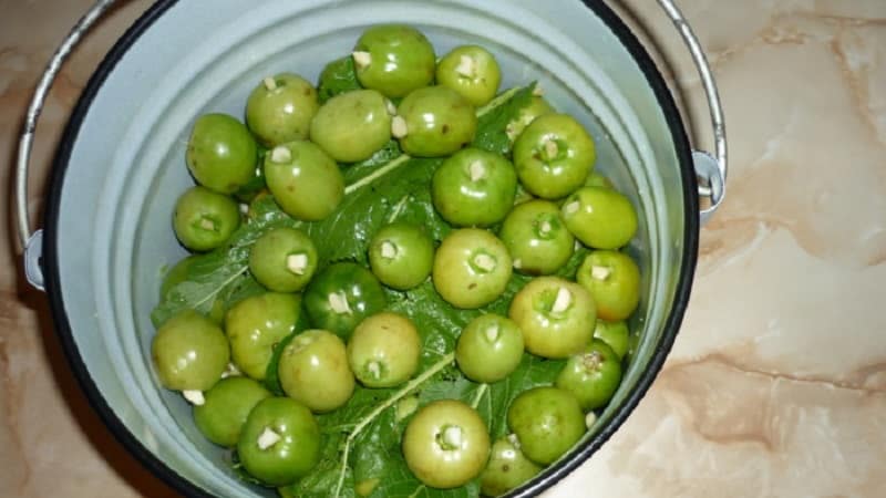 How to cook barrel green tomatoes at home: best recipes and cooking tips