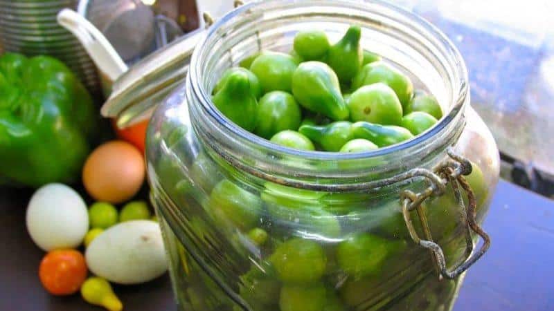 How to cook barrel green tomatoes at home: best recipes and cooking tips