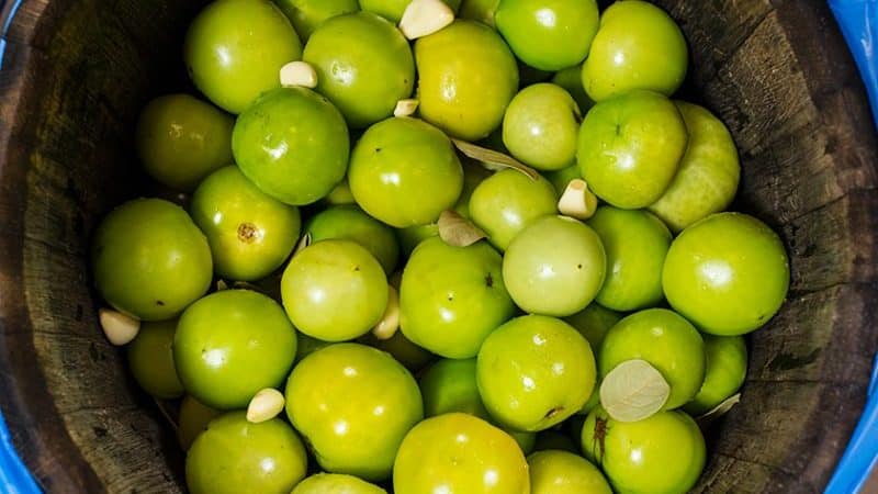How to cook barrel green tomatoes at home: best recipes and cooking tips