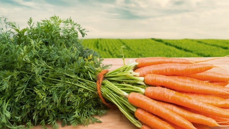 How can you replace potatoes while on a diet?