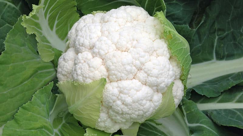 How can you replace potatoes while on a diet?