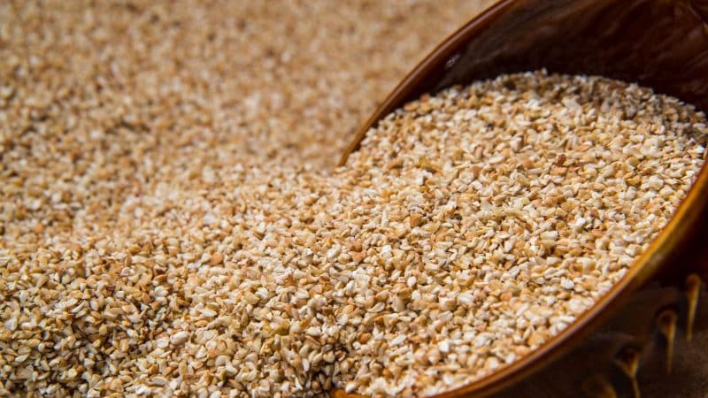 How to make buckwheat for porridge