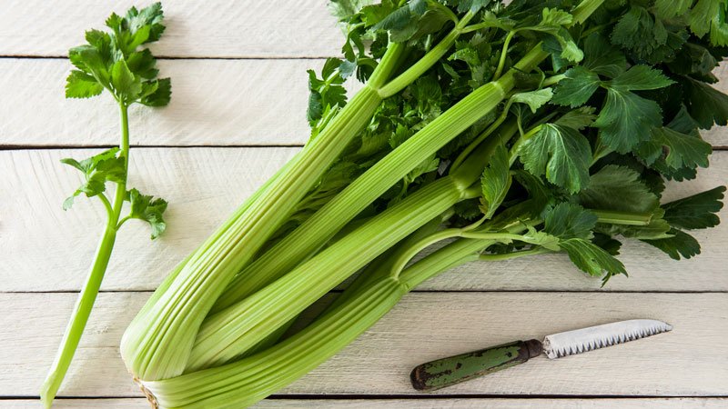 What is celery: overview, rules of use and growing technology