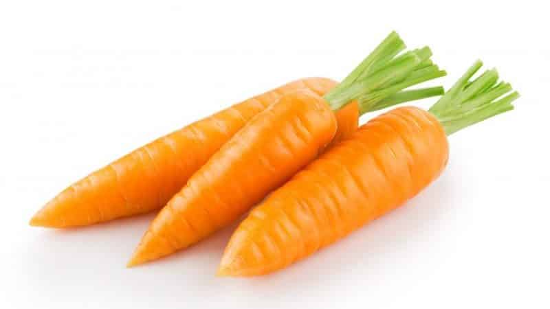 Standard French carrot variety Carotel