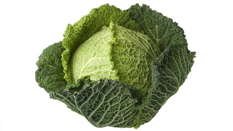 Description, cultivation, popular varieties of Savoy cabbage
