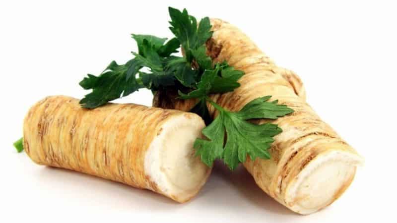 Do-it-yourself burning preparation: is it possible to freeze horseradish for the winter and how to do it correctly