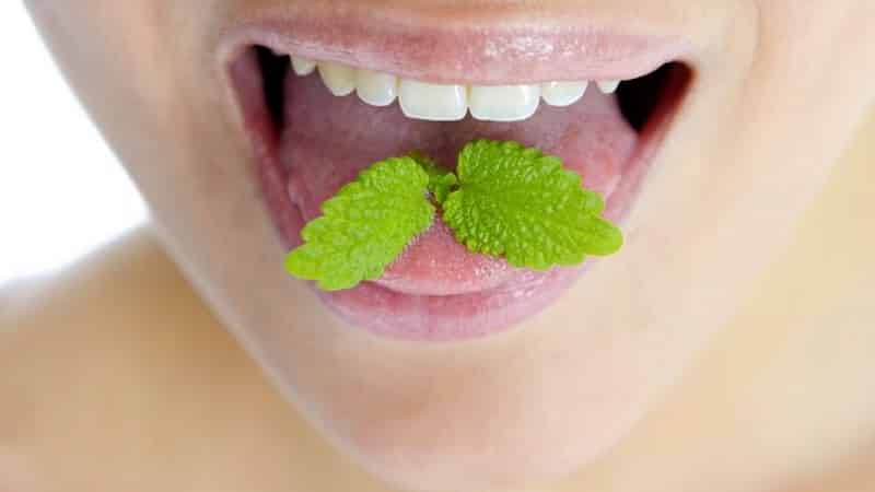 How to quickly and effectively get rid of onion odor from your mouth