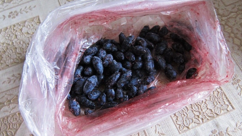 How can you freeze honeysuckle for the winter in the form of juice, puree or whole berries?