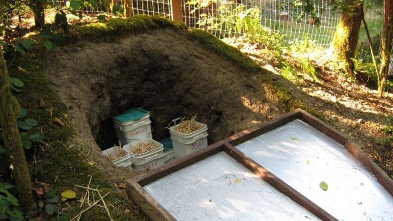 How to properly store potatoes in winter in a private house without a cellar