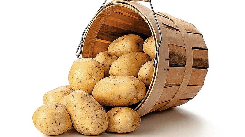 How to properly store potatoes in winter in a private house without a cellar
