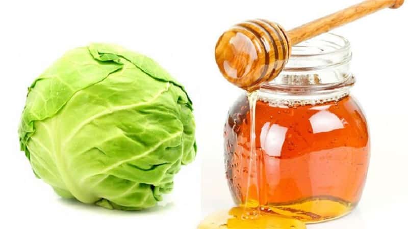 How to properly use cabbage with honey for coughs and how effective it is
