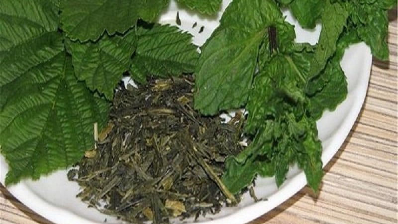 How to properly prepare raspberry leaves for tea at home for the winter