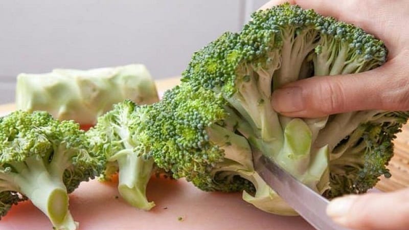 How to properly freeze broccoli for the winter at home: step-by-step instructions and use of the preparation