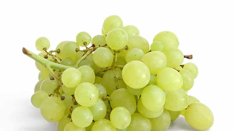 Proven ways to preserve grapes for the winter at home