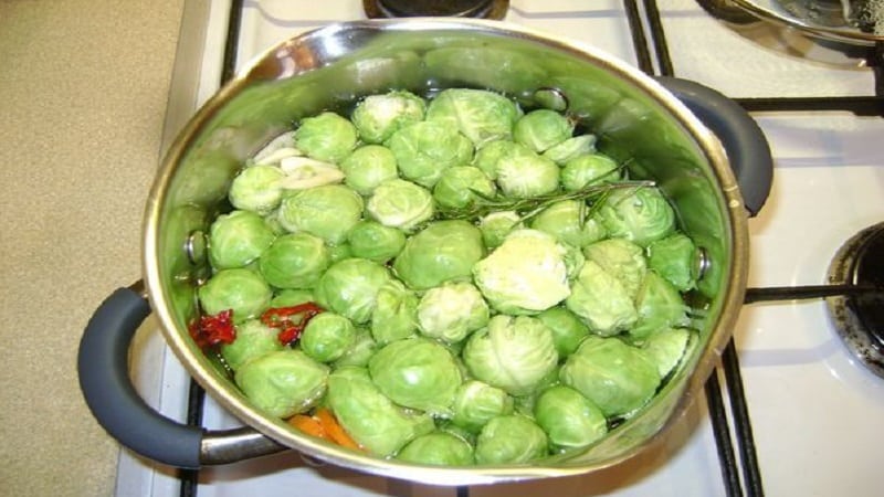 The best recipes for pickling Brussels sprouts for the winter