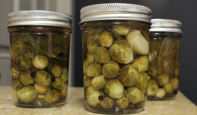 The best recipes for pickling Brussels sprouts for the winter