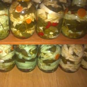 The best recipes for salting Tarkin pepper and cabbage quickly and tasty
