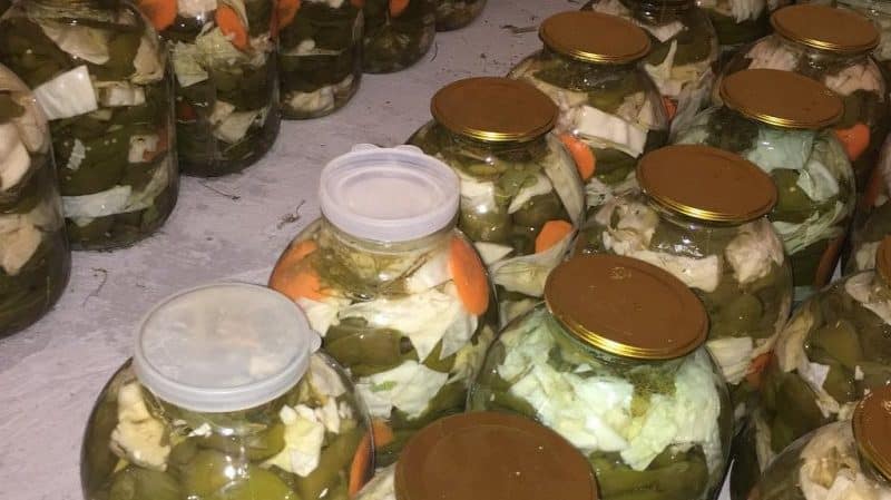 The best recipes for salting Tarkin pepper and cabbage quickly and tasty
