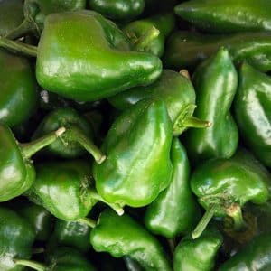 The best recipes for salting Tarkin pepper and cabbage quickly and tasty