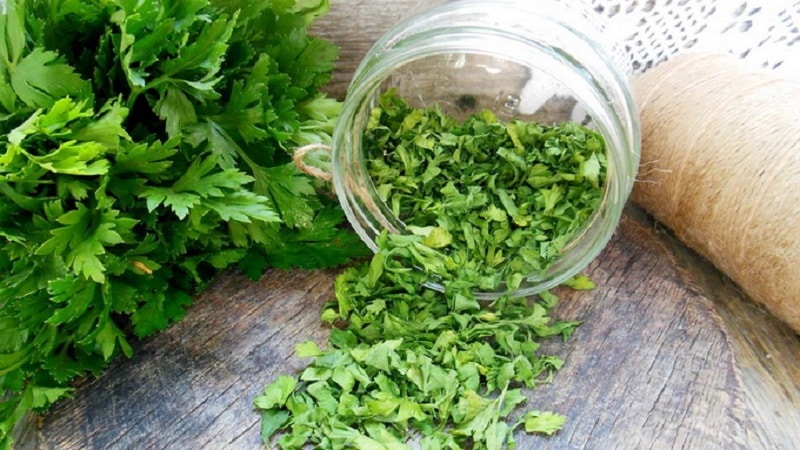 The best recommendations on how to prepare parsley for the winter and preserve the aroma