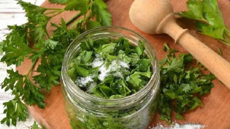 The best recommendations on how to prepare parsley for the winter and preserve the aroma