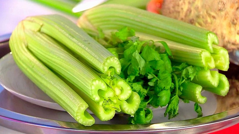 How to prepare different types of celery for the winter: the best methods and proven recipes