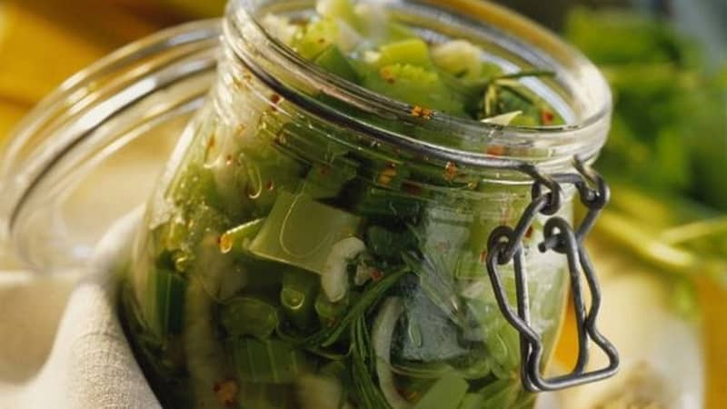 How to prepare different types of celery for the winter: the best methods and proven recipes