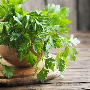 How to brew parsley as a diuretic