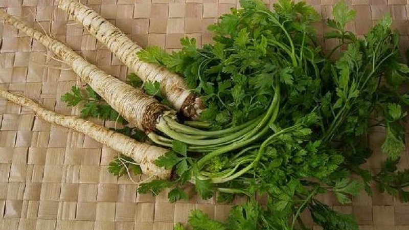 How to brew parsley as a diuretic