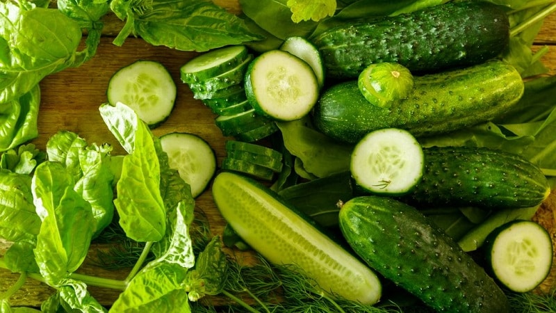 What varieties of cucumbers are there, complete classification