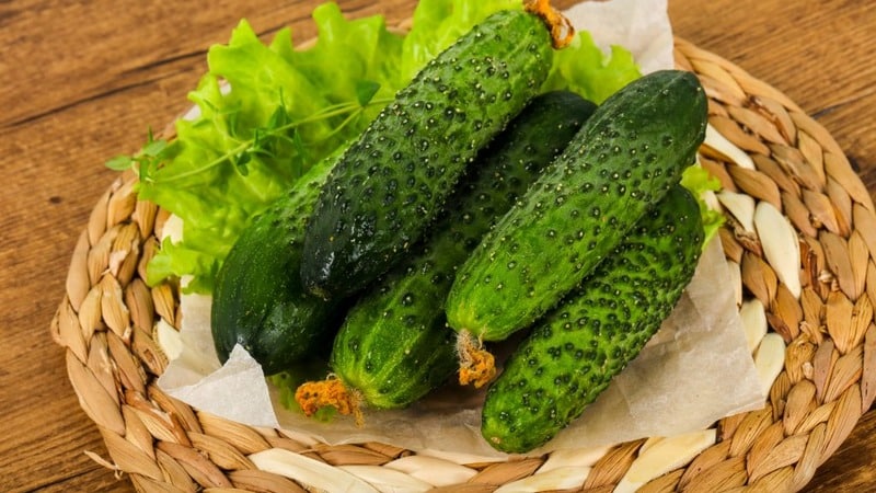 What varieties of cucumbers are there, complete classification